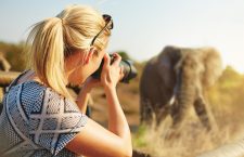 Fotografera på safari