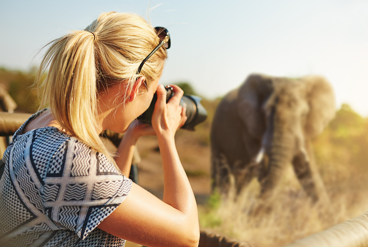 Fotografera på safari